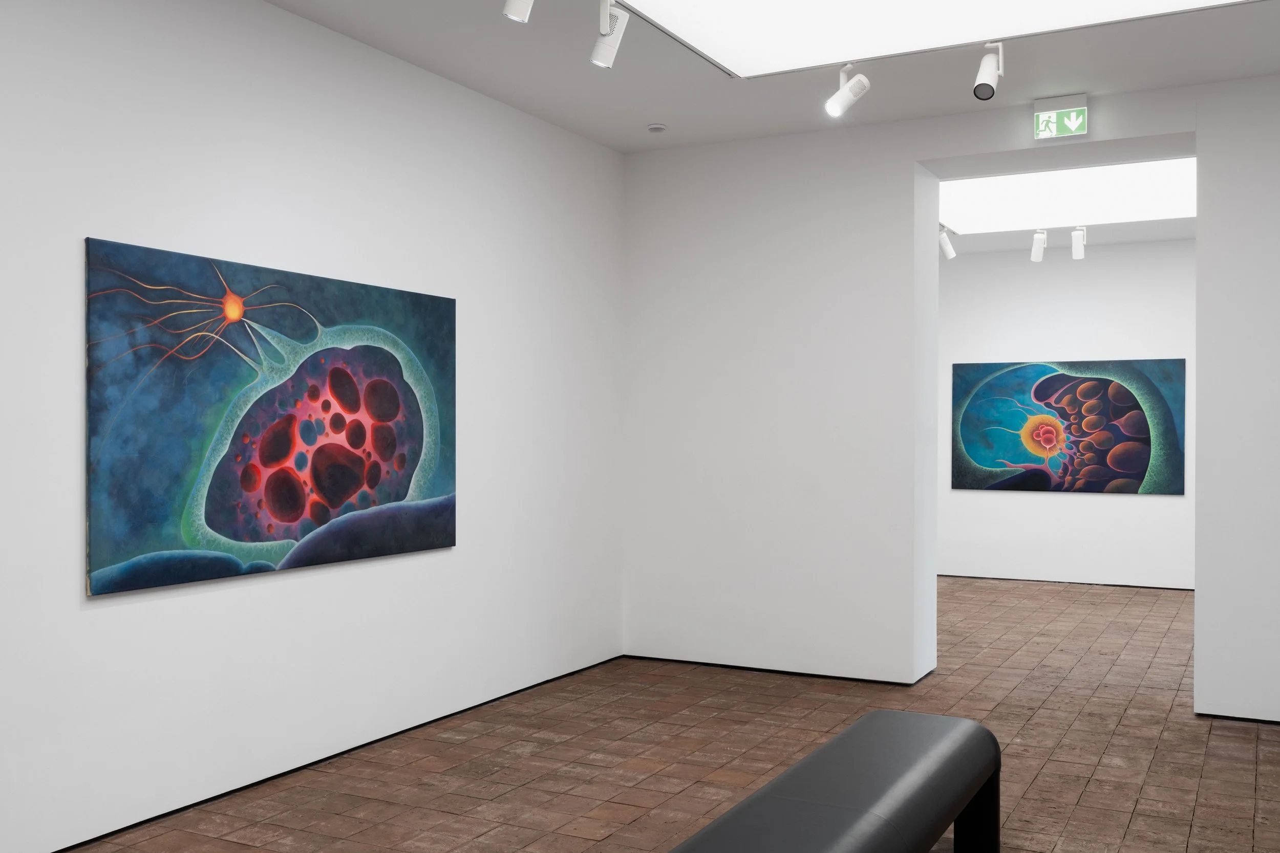 Imaginarium exhibition at Public Service Gallery — installation photograph 4