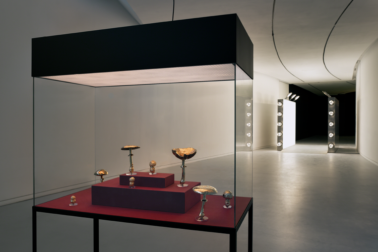DAY — Carsten Höller at MAAT, Lisbon — exhibition image 2