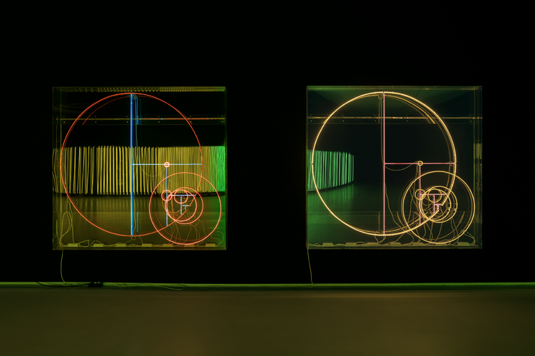 DAY — Carsten Höller at MAAT, Lisbon — exhibition image 5