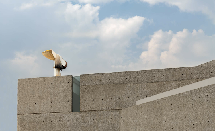 SUNDAY — Carsten Höller at Museo Tamayo, Mexico — exhibition view 7