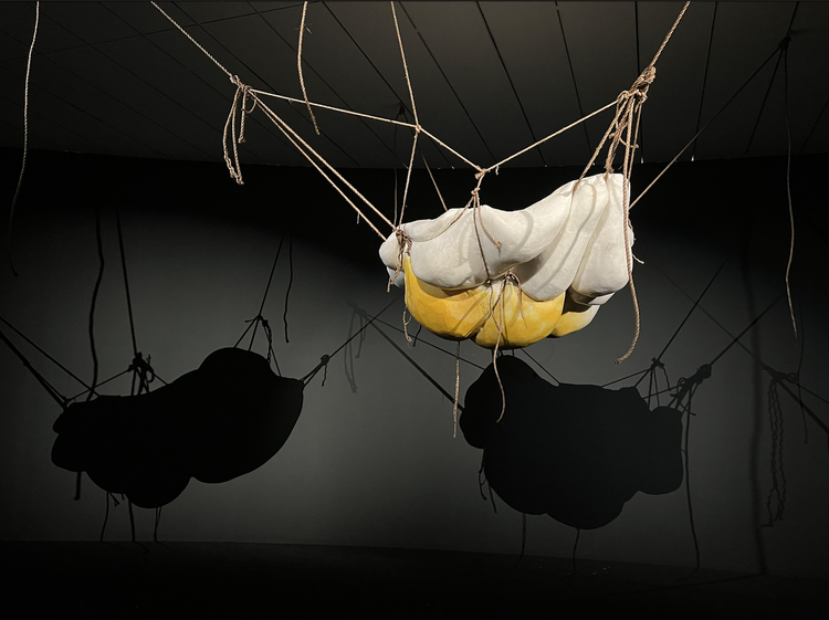 The Skin is a Thin Container exhibition at macLYON