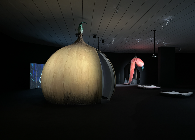 The Skin is a Thin Container exhibition at macLYON