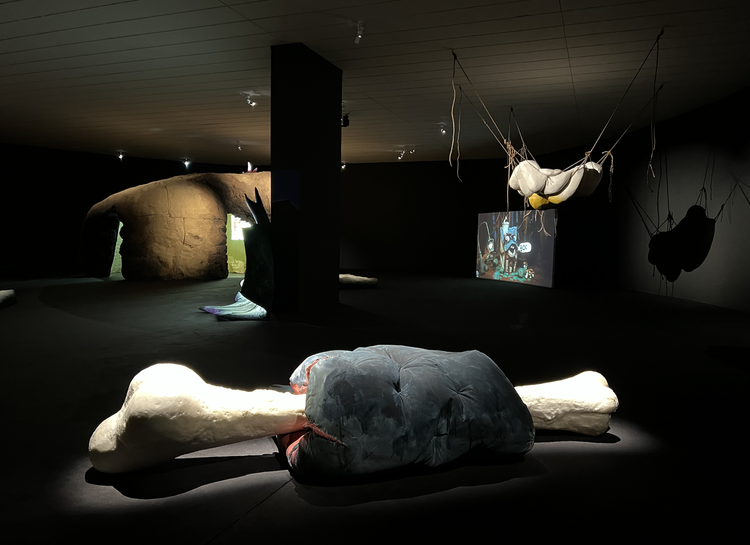 The Skin is a Thin Container exhibition at macLYON