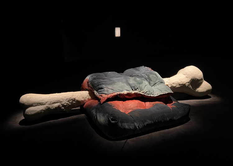 The Skin is a Thin Container exhibition at macLYON
