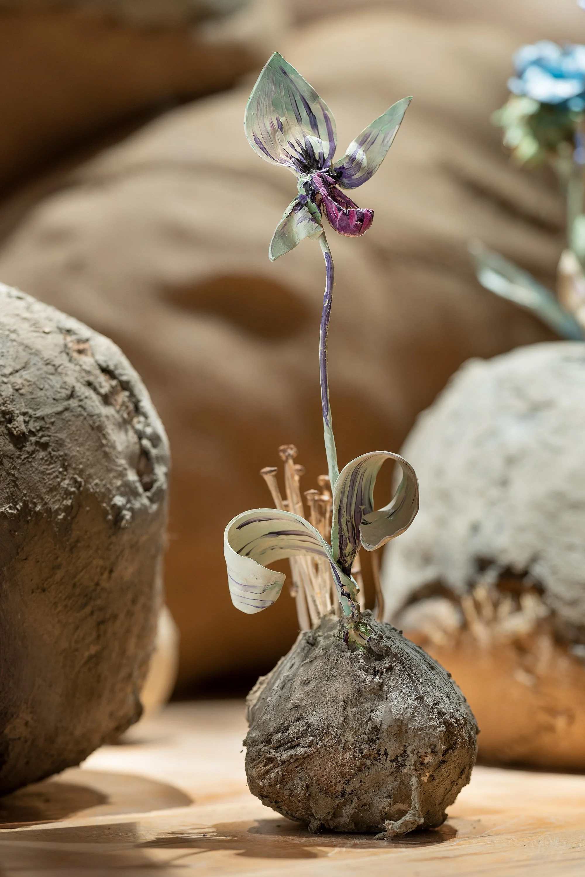 Only for the Wicked — TheStoneGarden2023-photoHendrik Zeitler DSC1952-1 web